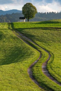 36 foto Grega Žorž